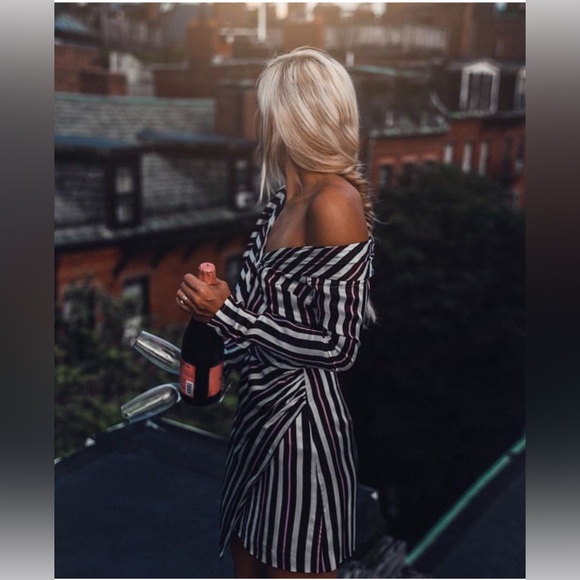 AMUR Kristen Dress in Bordeaux Multi Long‎ Sleeve Stripe Mini Dress size 8 - Picture 5 of 14